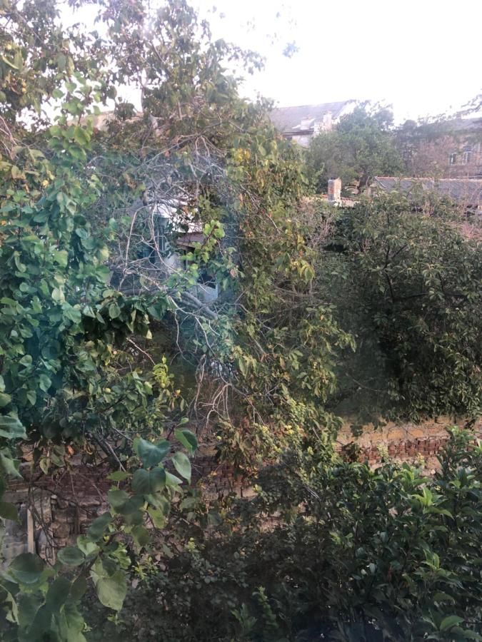 Гостиница Вилла Коронелло  Феодосия-19